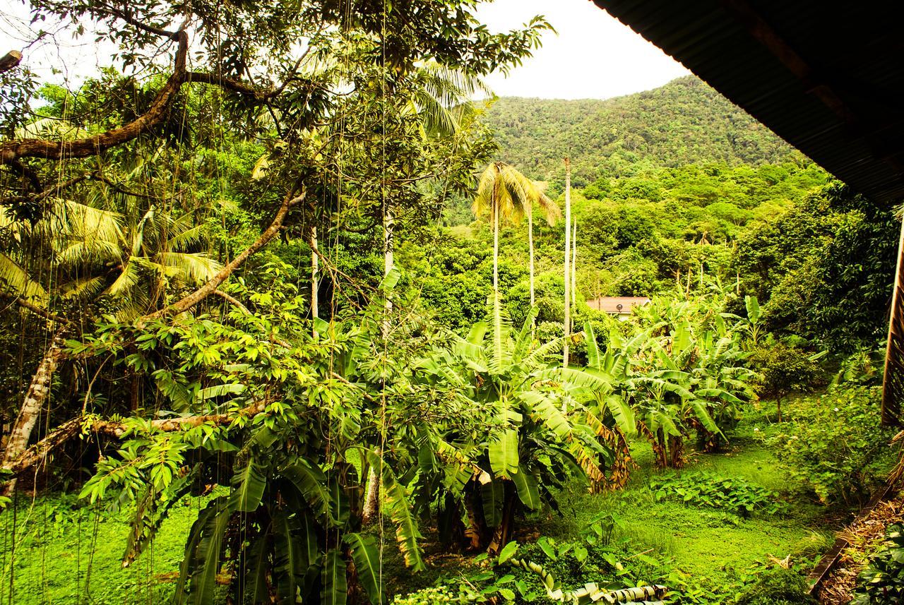 Rock Inn Bailan Koh Chang Exterior foto